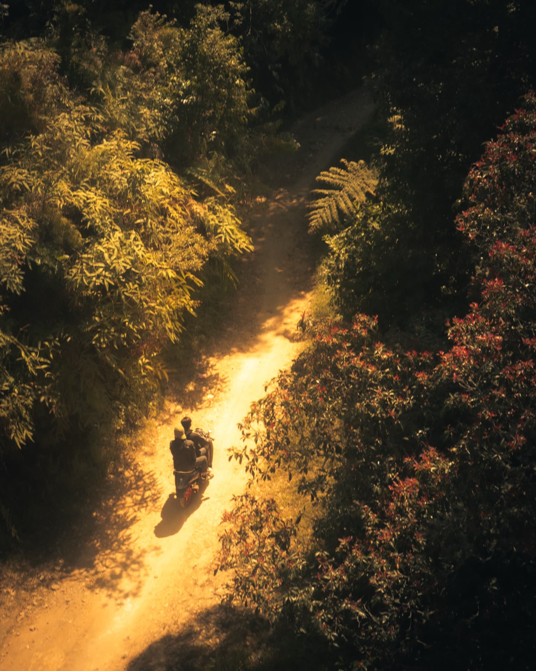 Motorcyclist travelling along a forest road