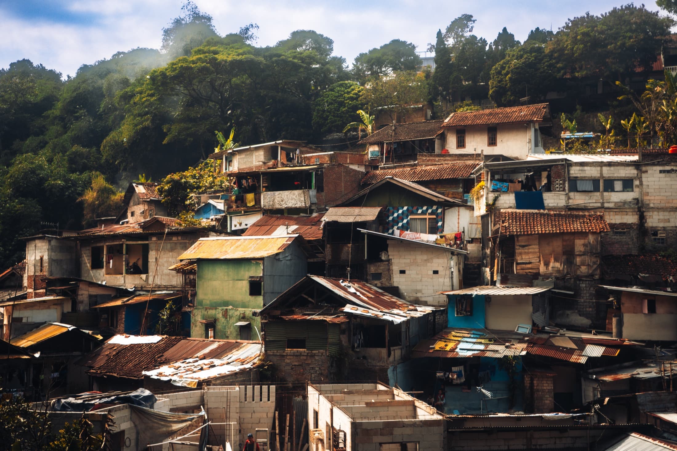 Hillside homes beneath forest