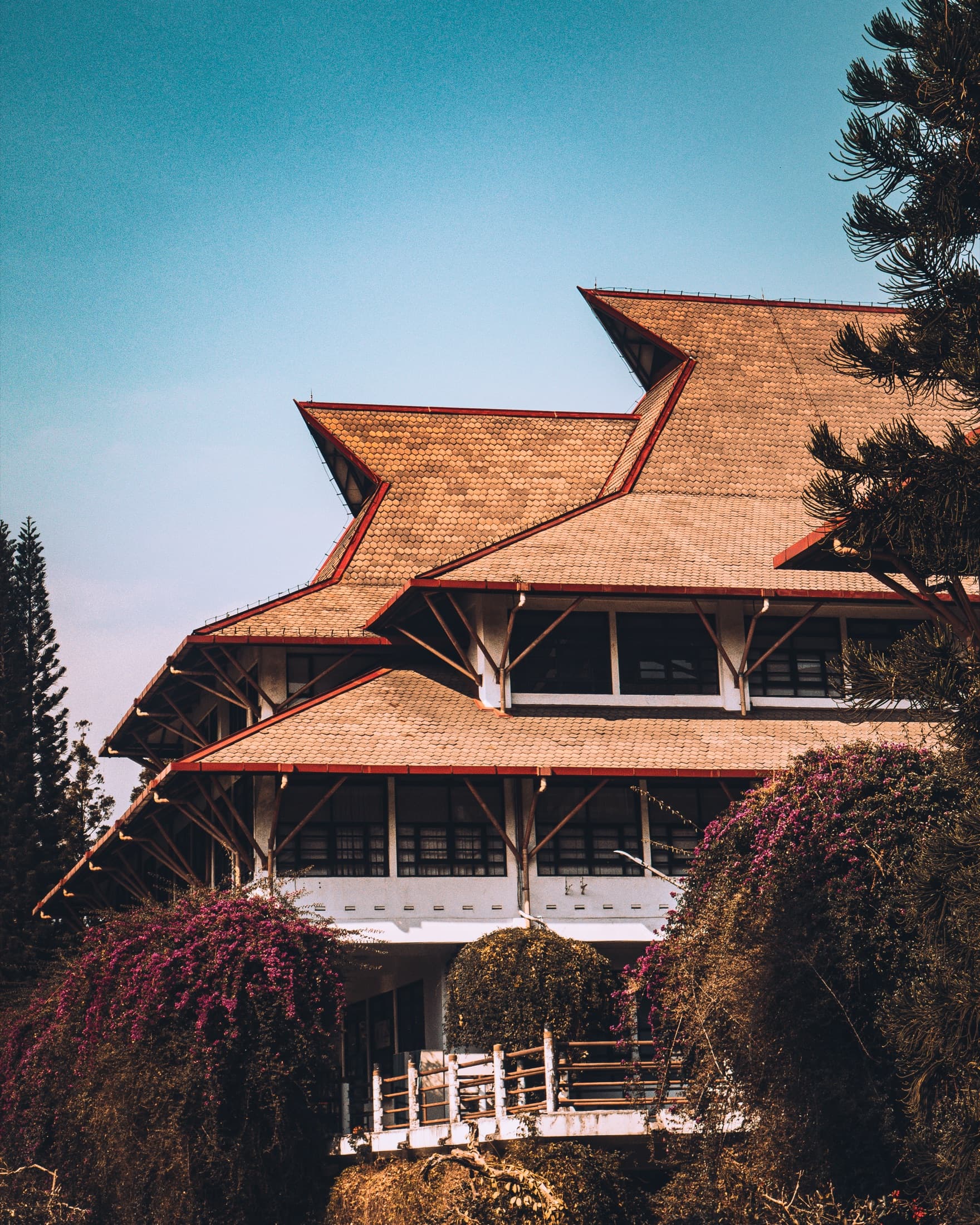 Tiered temple roof framed by trees