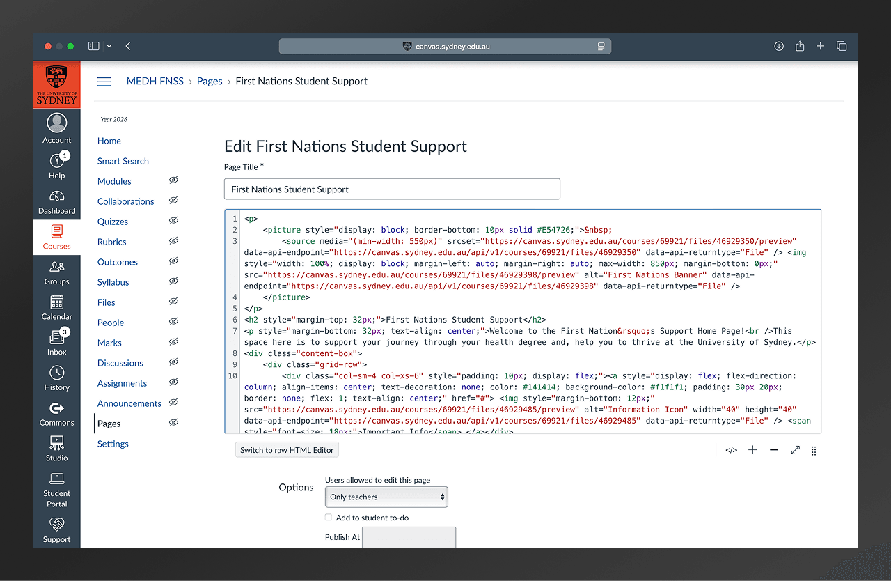 Canvas platform and cultural constraints