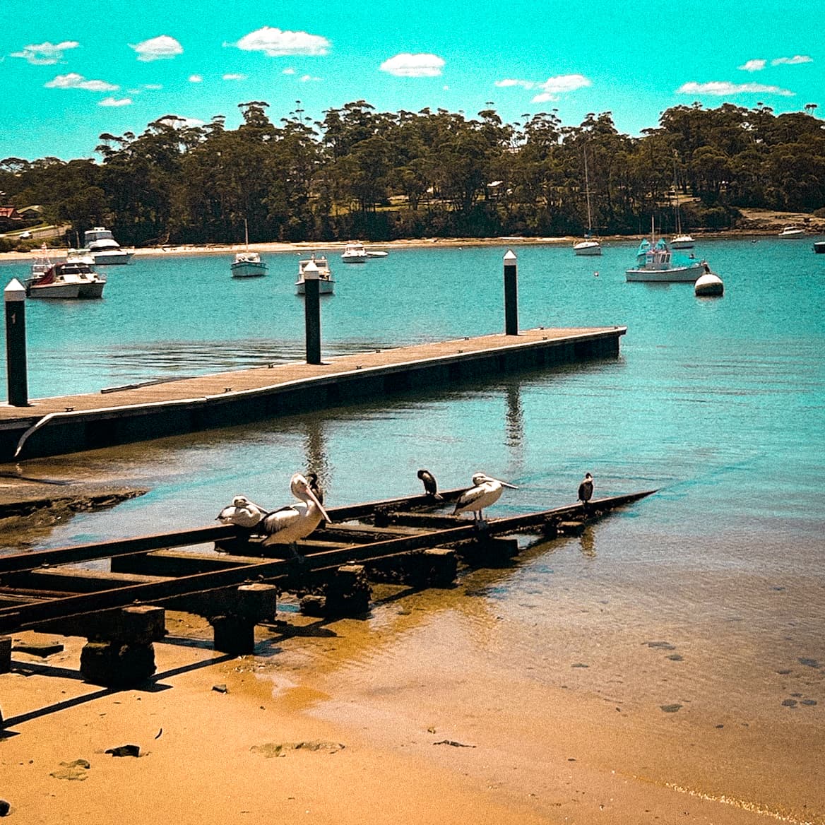 Harbor and water at the beach